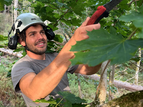 Beskärning i Olofstorp, Göteborg, Kungälv, Ale, Partille, Mölndal, Skepplanda, Gråbo. Beskärning.